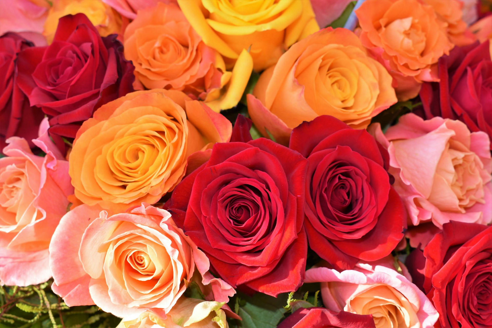 Ramo artesanal de rosas de colores vibrantes